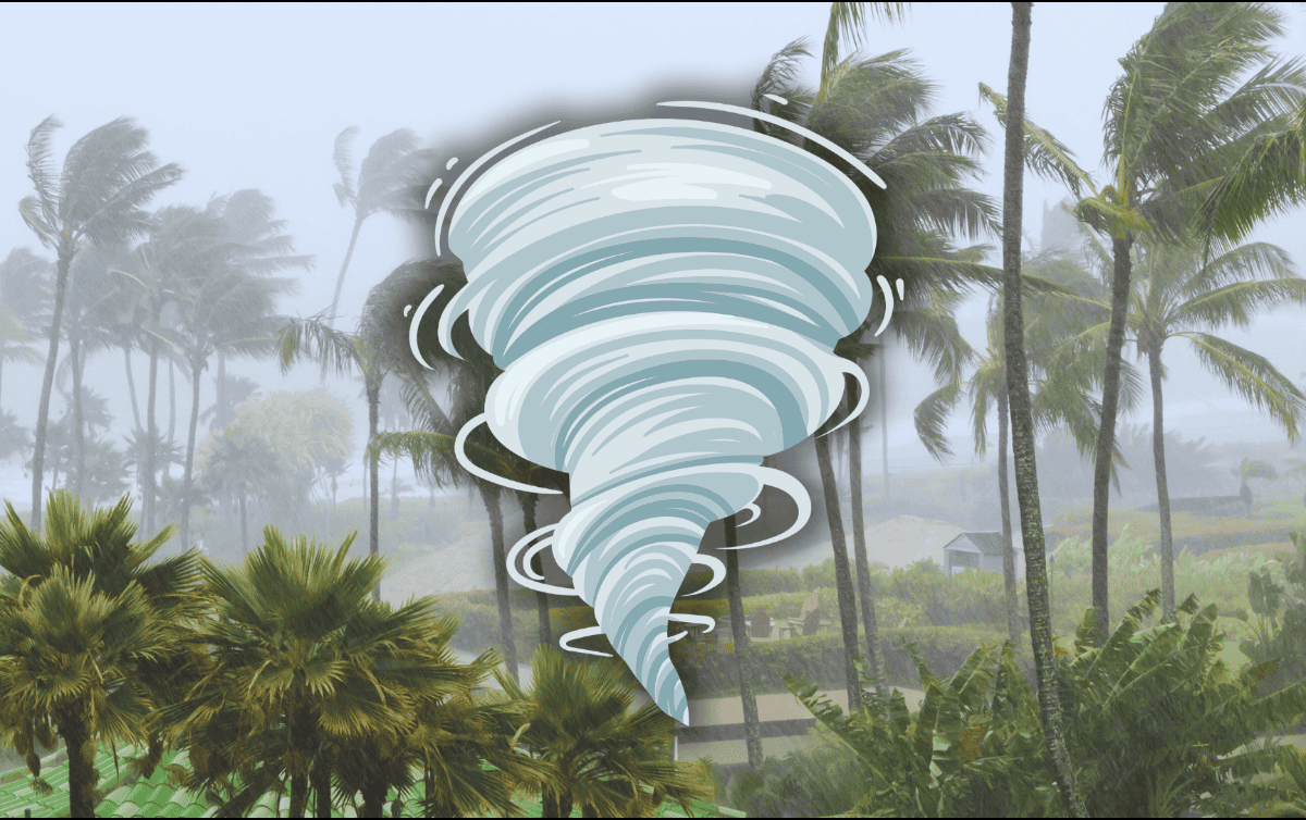 El actual fenómeno podría evolucionar a un ciclón tropical a finales de esta semana. ESPECIAL / CANVA