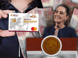 La Presidenta de México y el sitio web de Programas para el Bienestar compartieron las inversiones contempladas en el PPEF del próximo año. ESPECIAL/Presidencia de México/Programas para el Bienestar