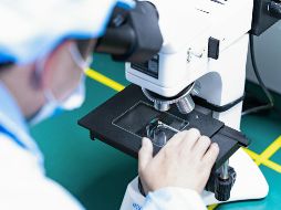 Investigadores ponen a prueba una herramienta de activación génica en una enfermedad. UNSPLASH / LIGHTSABER COLLECTION