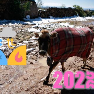 Revelan pronóstico de frentes fríos para la temporada 2025-2026