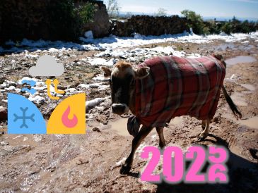 En promedio, se registran alrededor de 50 frentes fríos cada año, con una duración de entre 3 y 7 días. ESPECIAL / EL INFORMADOR y CANVA