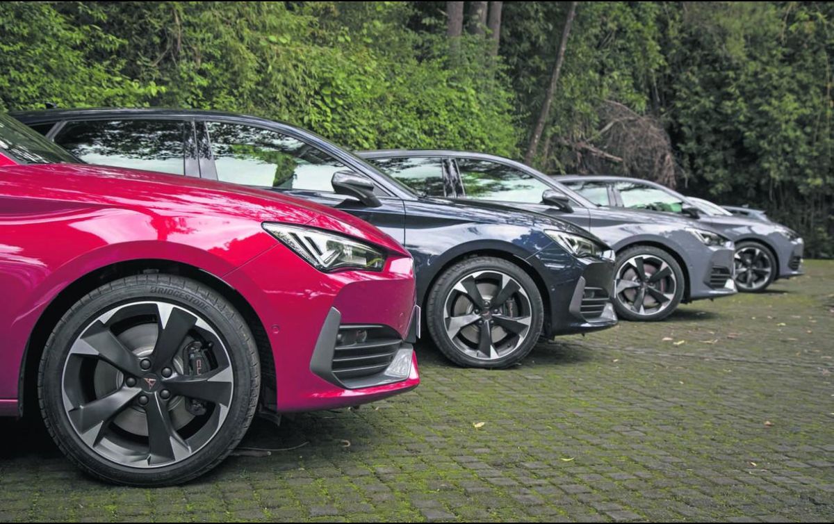 También señalaron que se pondrá en riesgo la inversión realizada por las empresas distribuidoras de capital nacional. SUN/ARCHIVO