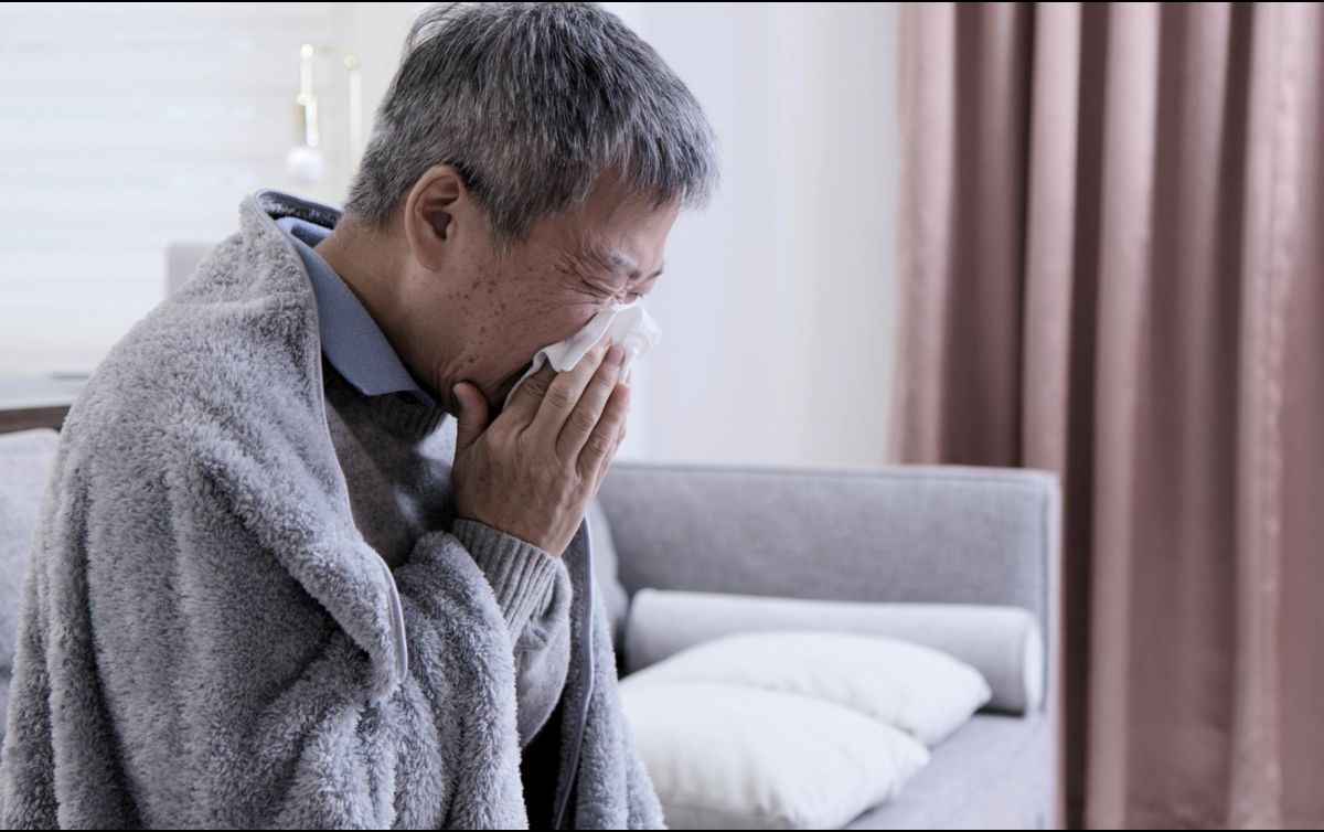 El estudio reveló que la producción altamente elevada de ApoD con la edad en el pulmón genera un daño tisular extenso (en los tejidos) durante la infección que reduce la respuesta antiviral protectora del organismo. ESPECIAL / CANVA