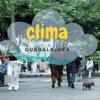 ¿Qué tan probable es que llueva este domingo en Guadalajara?