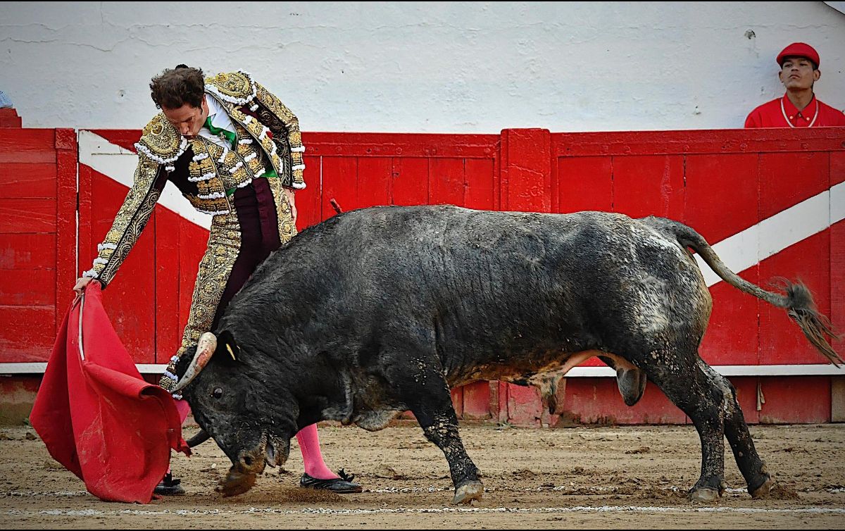 La afición tapatía vivió una tarde de claroscuros que dejó la puerta abierta para lo que resta de la temporada. X/ @emsa_gdl.
