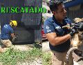 Un gato fue rescatado luego de quedar atrapado en un puesto de tacos en Puerto Vallarta. ESPECIAL / FACEBOOK Protección Civil y Bomberos Puerto Vallarta