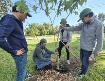 Esta mañana del 17 de septiembre, se llevó a cabo la 7.ª reforestación universitaria en el Parque Metropolitano. EL INFORMADOR/ O. González