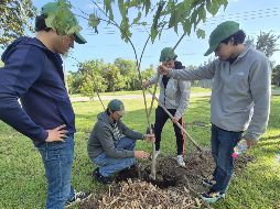 Esta mañana del 17 de septiembre, se llevó a cabo la 7.ª reforestación universitaria en el Parque Metropolitano. EL INFORMADOR/ O. González
