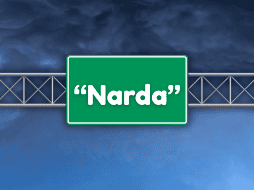 Hasta el momento, en la cuenca del Pacífico se han formado 13 ciclones tropicales, de hasta los 20 que se esperan. ESPECIAL / CANVA