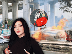 Sus seguidores han propuesto distintas opciones para canalizar los insumos, ya sea hacia otras clínicas o a asociaciones de beneficencia. INFORMADOR/SUN INSTAGRAM/BELLAKATH