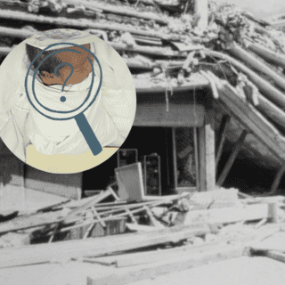 Así luce hoy Sara, la "bebé milagro" que sobrevivió al sismo de 1985 | FOTOS