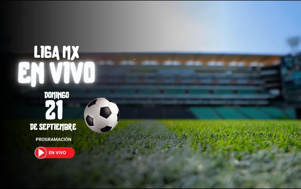 Para HOY están programado un juego. IMAGO7