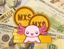 El peso liga dos semanas de ganancias frente al dólar, de acuerdo con información de Bloomberg. ESPECIAL / CANVA