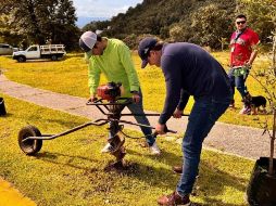 Se sembraron entre 10 mil y 20 ejemplares idóneos, de gran tamaño, endémicos y adaptables al cambio climático. CORTESÍA/GOBIERNO DE TLAJOMULCO