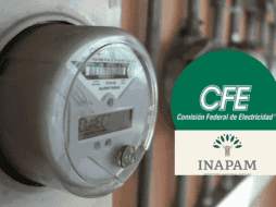 Entre las ventajas que otorga este documento se encuentran descuentos en áreas como salud, alimentación, transporte, servicios legales, educación, cultura, pago de predial y agua, así como en rubros de vestido y hogar. ESPECIAL/ EL INFORMADOR/ ARCHIVO