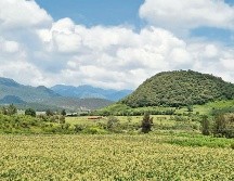 Ruta de la Raicilla: el tesoro líquido de Jalisco
