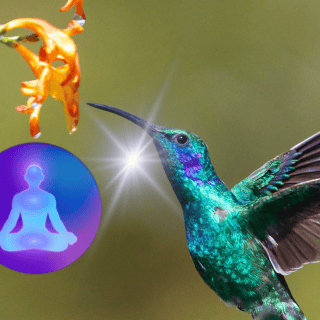 ¿Cuál es el significado espiritual de un colibrí?