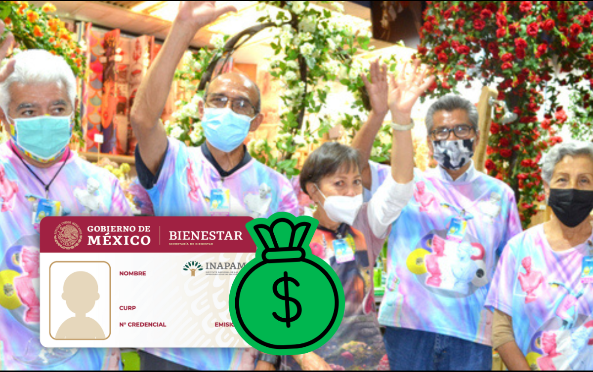 El Programa Vinculación Productiva promueve empleos remunerados y actividades voluntarias que generen un ingreso para los adultos mayores, conforme a su oficio, habilidad o profesión. INAPAM