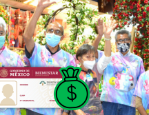 El Programa Vinculación Productiva promueve empleos remunerados y actividades voluntarias que generen un ingreso para los adultos mayores, conforme a su oficio, habilidad o profesión. INAPAM