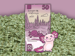 El peso mexicano espera datos de la política moneteria; la cotización frente al dólar puede variar. ESPECIAL / CANVA