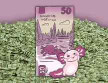 El peso mexicano espera datos de la política moneteria; la cotización frente al dólar puede variar. ESPECIAL / CANVA