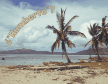 Un nuevo ciclón estaría por formarse en la cuencia del Atlántico. ESPECIAL / CANVA