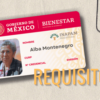 INAPAM: ¿Qué documentos necesito para reponer mi tarjeta?