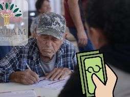 El objetivo es que los adultos mayores no solo cuenten con un ingreso económico, sino también con prestaciones. EL INFORMADOR / ARCHIVO