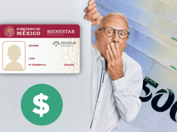 Además de la credencial Inapam, otorgada a personas mayores de 60 años para que tengan beneficios, el instituto también promueve la integración social de este sector de la población. ESPECIAL