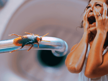 Los restos de comida son la primera invitación para que los insectos entren a la cocina. ESPECIAL / CANVA