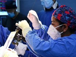 Estas intervenciones consisten en implantar pequeños electrodos en zonas específicas del cerebro que controlan el movimiento. ESPECIAL / SEMAR