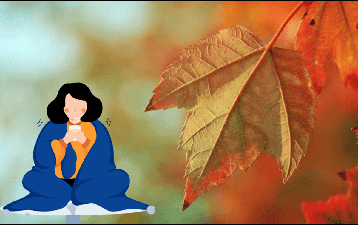 ¿Qué le sucede al cuerpo al llegar el otoño? UNSPLASH / A. BURDEN