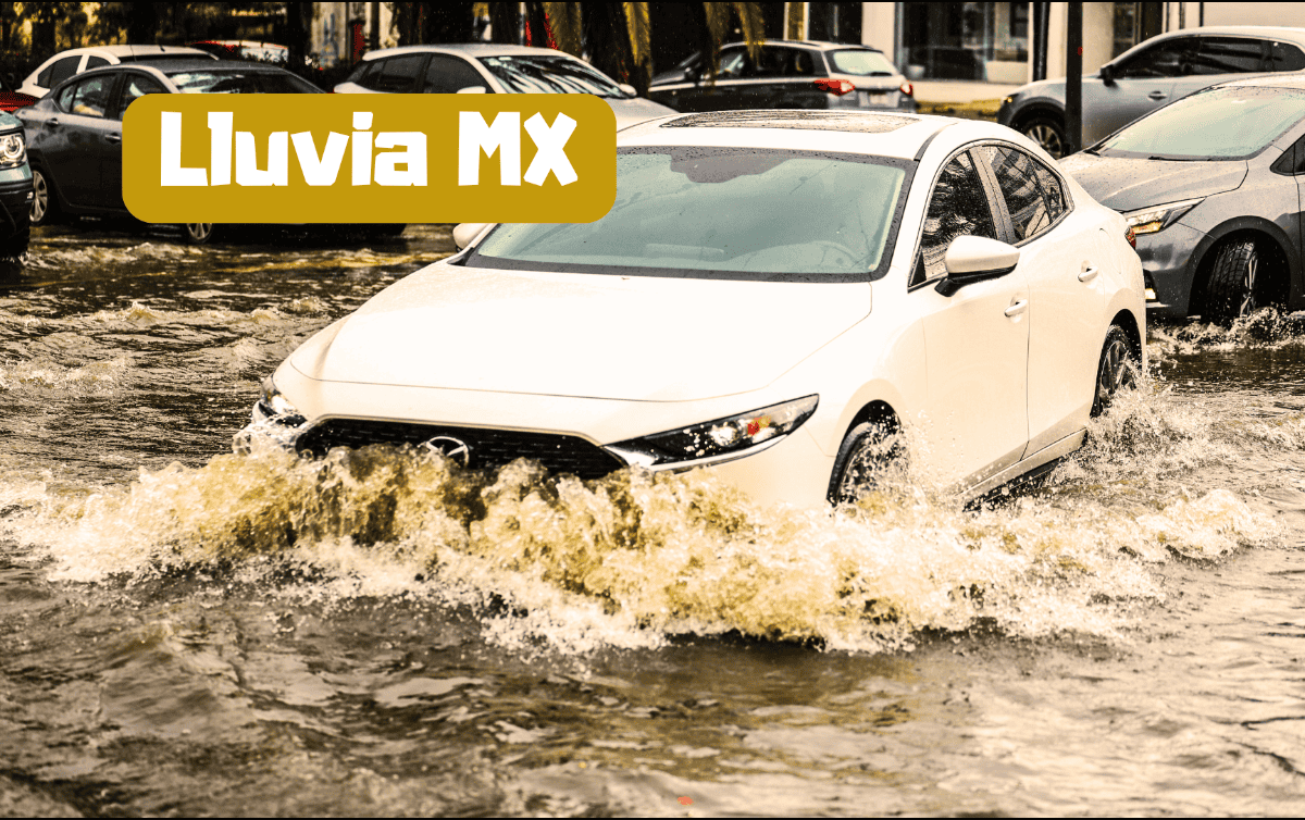 Las lluvias pronosticadas podrían estar acompañadas con descargas eléctricas y posible caída de granizo. EL INFORMADOR / A. Navarro