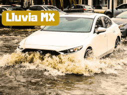 Las lluvias pronosticadas podrían estar acompañadas con descargas eléctricas y posible caída de granizo. EL INFORMADOR / A. Navarro