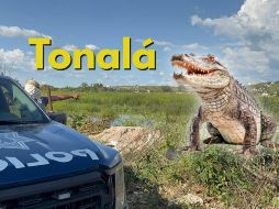 La zona se encuentra resguardada a la espera de la captura y traslado del cocodrilo. ESPECIAL / FACEBOOK Coordinación de Seguridad y Emergencias Tonalá
