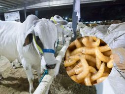 La Asociación Nacional de Ganaderos (NCBA, por sus siglas en inglés) de EU pidió al Departamento de Agricultura que haga 