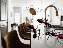 La principal acción contra las plagas siempre será la prevención a través de la higiene, manteniendo una rutina de limpieza y orden. ESPECIAL