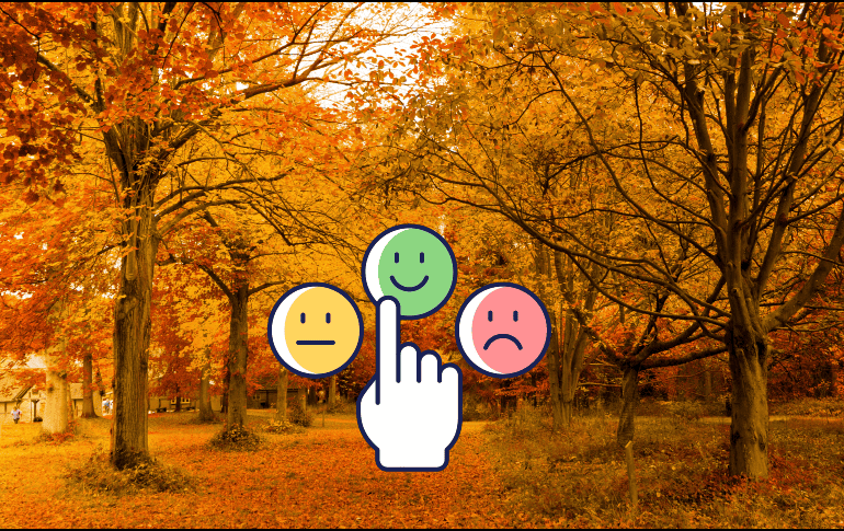 ¿Qué cambios físicos experimenta el cuerpo en otoño? ESPECIAL / CANVA