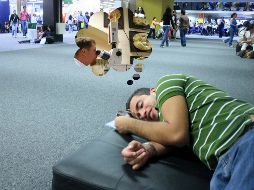 La clave no está en la estructura anatómica, como se consideraba hasta el momento, sino en el grado de excitabilidad de las neuronas. EL INFORMADOR / EFE / ARCHIVO