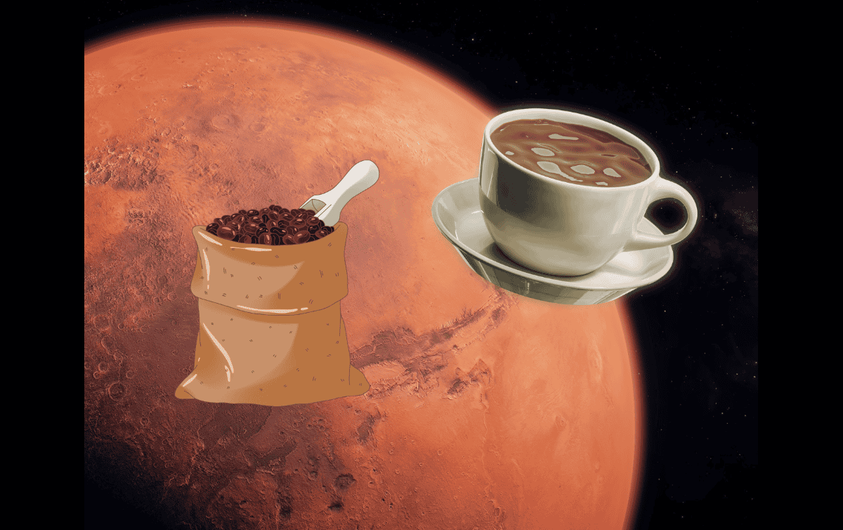 Enviar café veracruzano a Marte a bordo de una nave espacial desarrollada por científicos de Veracruz, propone la la diputada morenista. CANVA