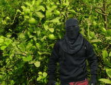 Consultadas al respecto, autoridades estatales, adelantaron que junto con la Federación, ya tienen una serie de acciones preparadas. NTX / SUN / ARCHIVO