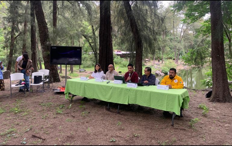 El director de Recursos Naturales de la Secretaría de Medio Ambiente y Desarrollo Territorial de Jalisco (Semadet), explicó que el 94.08 % de las reforestaciones se hicieron con fines de protección y restauración. EL INFORMADOR / O. González Hernández