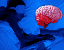 Un sueño reparador es un hábito cotidiano que contribuye a cuidar la salud cerebral. ESPECIAL / CANVA