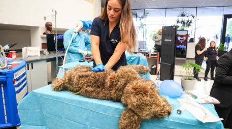 Esta mañana fue presentada la licenciatura en Medicina Veterinaria y Zootecnia en la Universidad Autónoma de Guadalajara (UAG). EL INFORMADOR / J. ACOSTA