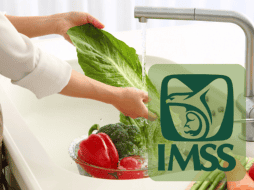 Es de vital importancia evitar el uso de productos domésticos como desengrasantes o limpiadores no aptos para alimentos en este proceso. ESPECIAL