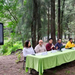 Jalisco supera meta de reforestación 2025 con más de 160 mil árboles plantados