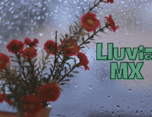 Todas las lluvias pronosticadas podrían estar acompañadas con descargas eléctricas y caída de granizo. ESPECIAL / CANVA