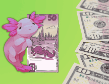 El dólar, en los mercados internacionales, concluyó alrededor de 18.36 pesos por dólar. ESPECIAL / CANVA