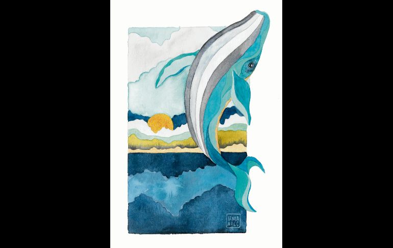 Cuerpos debilitado, falta de reservas nutricionales y menor descendencia generan inquietud por las ballenas entre especialistas. CORTESÍA/Irma Arce