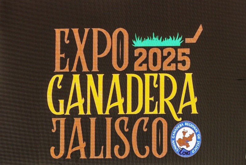  EL INFORMADOR/ A. NAVARRO